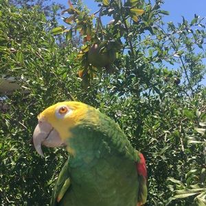 Meet your Posher, Eduardo